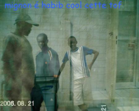 mignon et habib